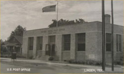 Linden
