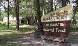 Sam Houston National Forest