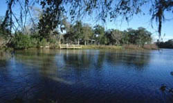 Gulf Coast Bird Observatory