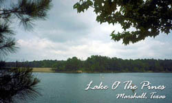 Lake O The Pines