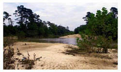 Montgomery County Preserve