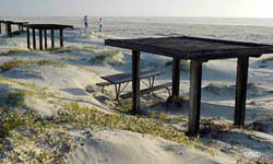 Picnic on the Beach