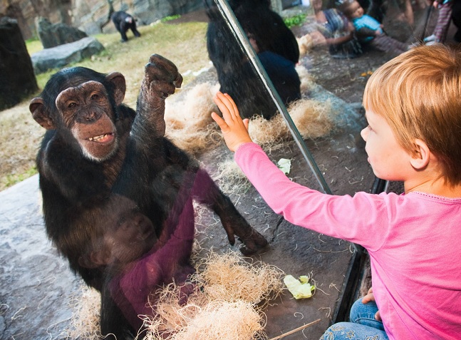 Houston Zoo