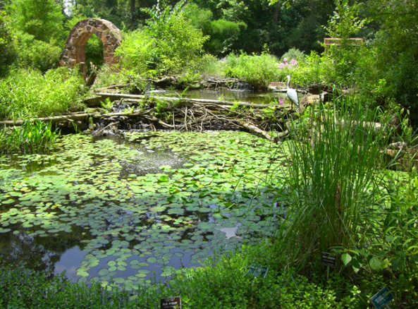 Mercer Arboretum and Botanic Gardens