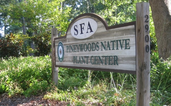 SFA Piney Woods Native Plant Center