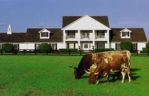 Southfork Ranch