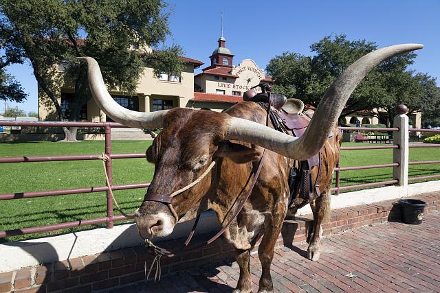 Texas Cowboy Hall of Fame