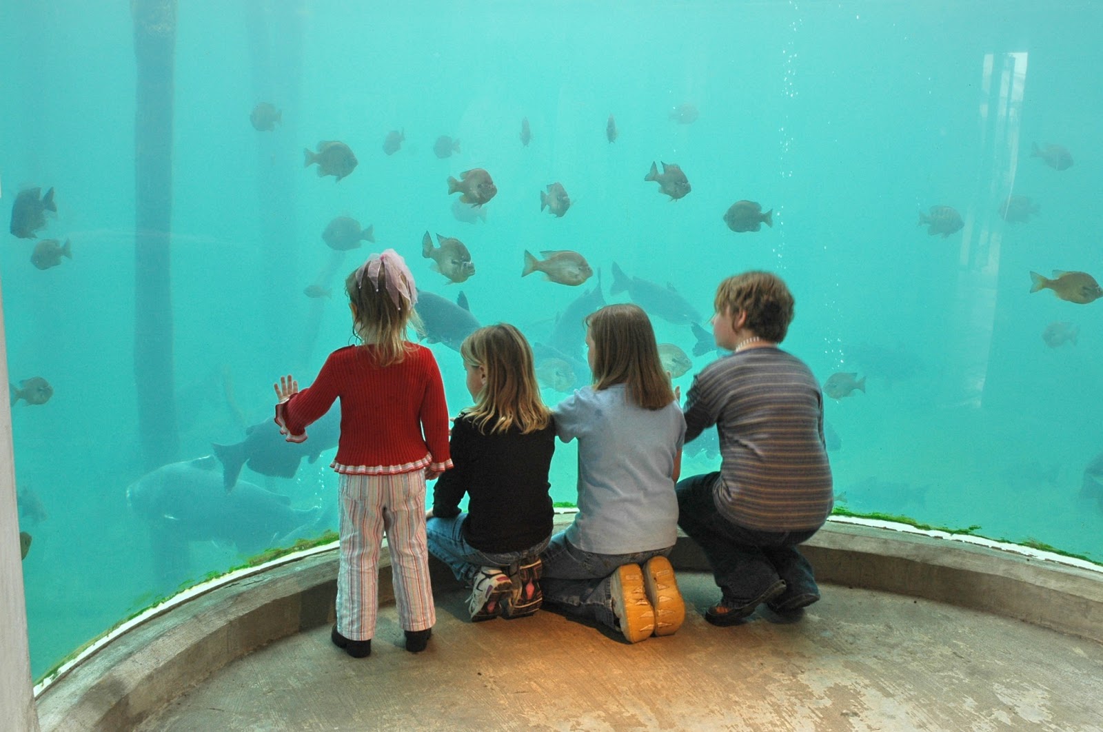 Texas Freshwater Fisheries Center